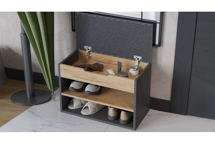 Тумба для обуви Тип 11 Графит Серый, Дуб Крафт золотой