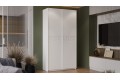 Шкаф-купе с 2 глухими дверями «Оскар Скания» 1200 Ручка белая, Белый снег, Белый матовый (Глухой/Глухой)