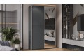 Шкаф-купе с 1 глухой и 1 зеркальной дверями «Оскар Скания» 1400 Ручка серебро, Серый графит, Графит матовый (Глухой/Зеркало)