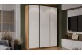 Шкаф-купе с 3 глухими дверями «Оскар Скания» 1800 Ручка черная, Дуб Крафт золотой, Белый снег, Белый матовый (Глухой/Глухой/Глухой)