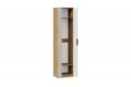 Шкаф для одежды «Хилтон» Исп. 2 - 303.001.000 Дуб Крафт золотой, Мокко матовый