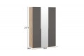 Шкаф для одежды «Порто» (580) с 2 глухими и 1 зеркальной дверями  - СМ-393.07.112 Яблоня Беллуно, Графит софт