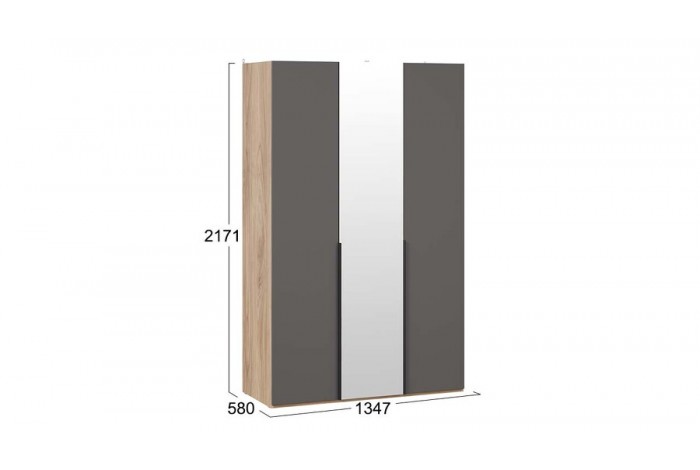 Шкаф для одежды «Порто» (580) с 2 глухими и 1 зеркальной дверями  - СМ-393.07.112 Яблоня Беллуно, Графит софт
