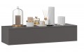 Тумба универсальная Тип 2 Графит Серый